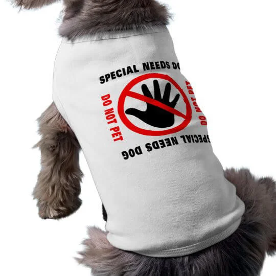 T-Shirt für kleine Hunde